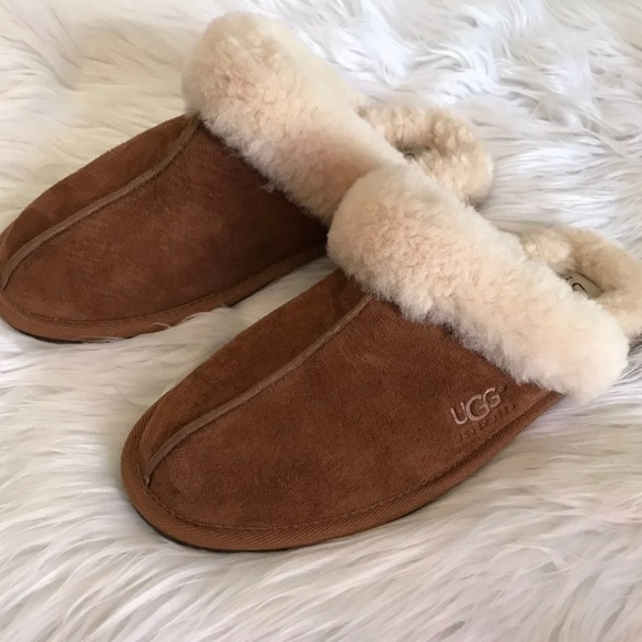 UGG Shoes - Sceffette Ugg Slippers